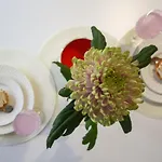 Sonatina * ドルスキニンカイ