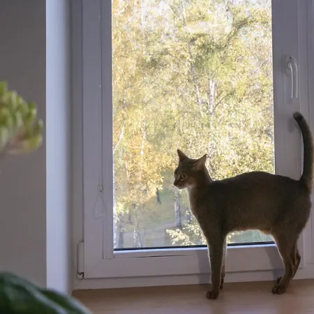 Apartmán Sonatina Druskininkai