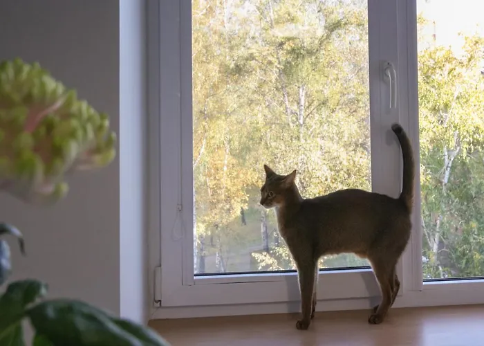 شقة Sonatina دروسكينينكاي