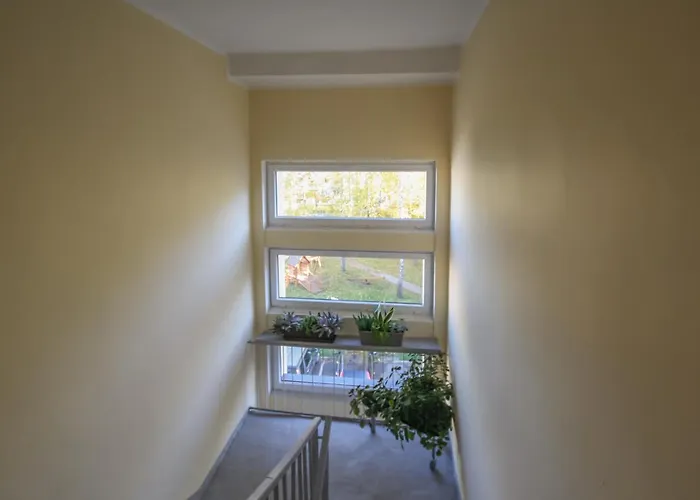 Apartment Sonatina *